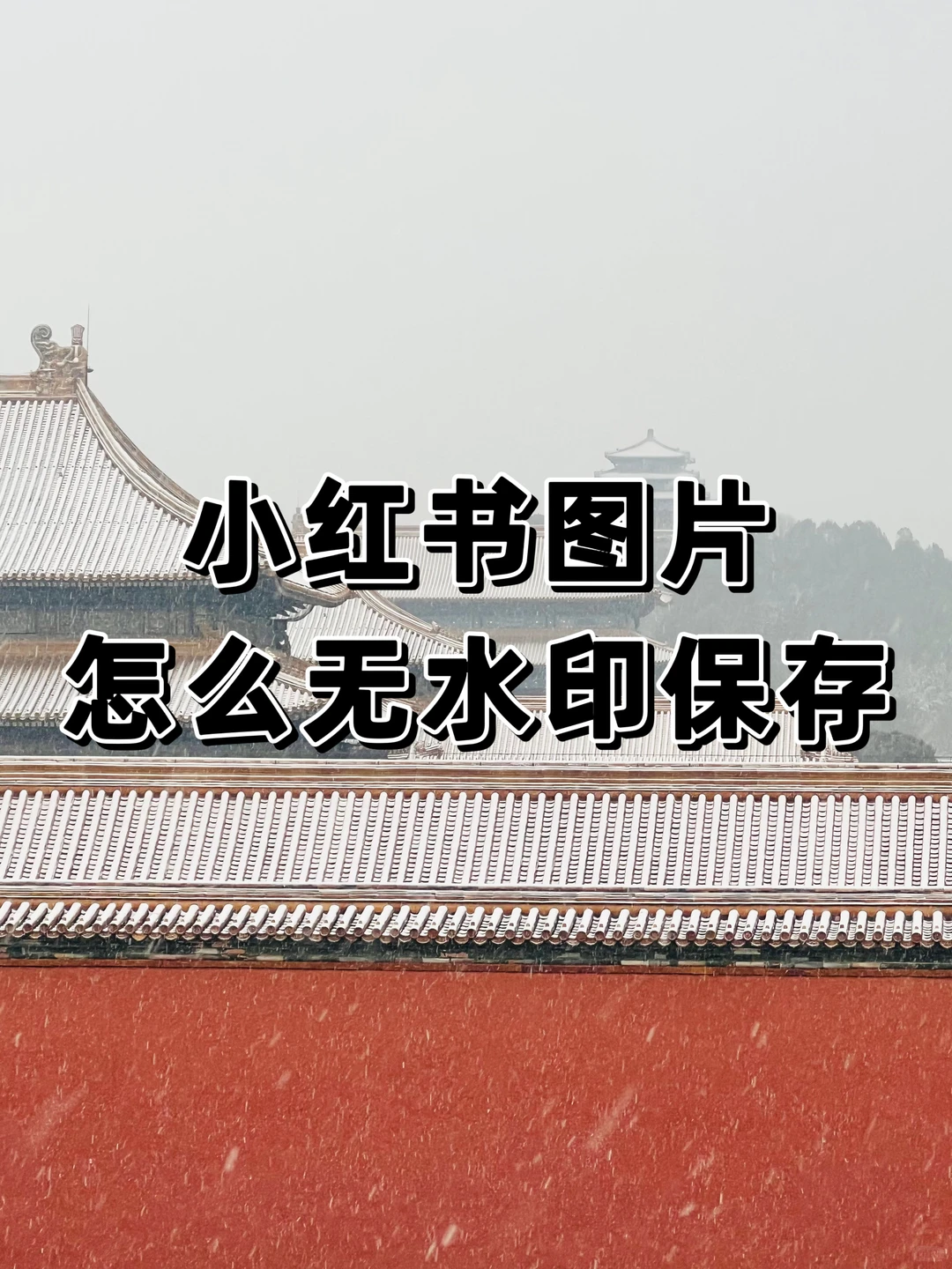 📕小红书怎么保存原图原视频无水印