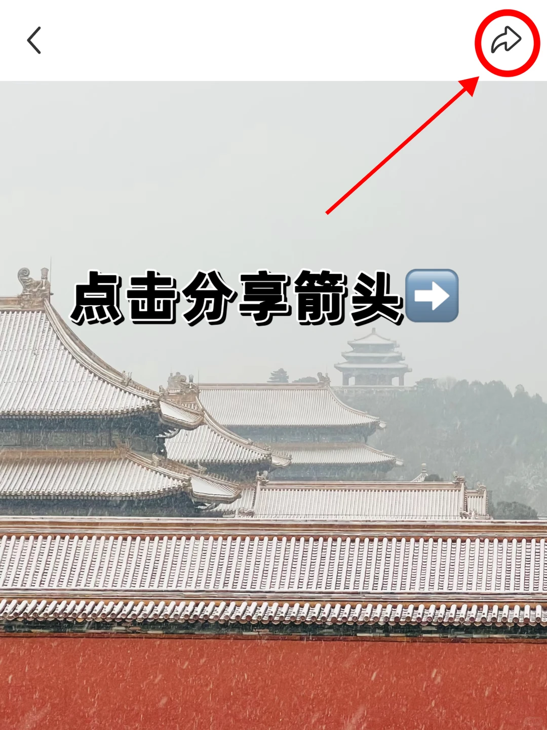 📕小红书怎么保存原图原视频无水印