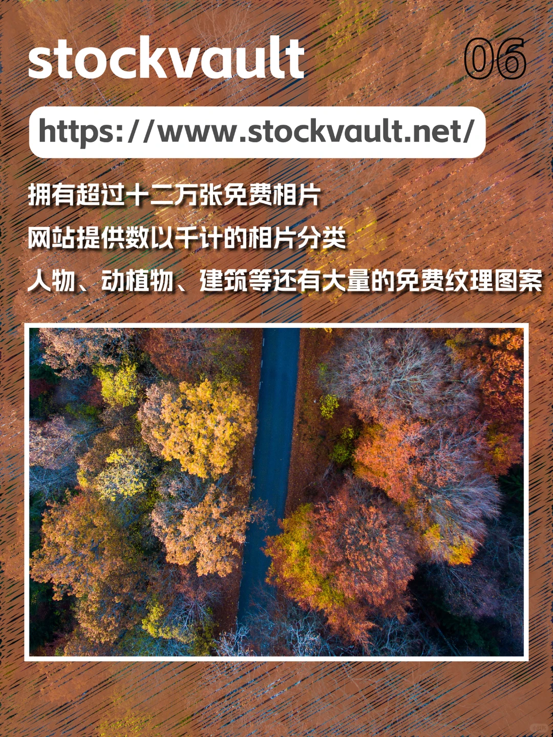 📸 9个无版权图库分享 🖼️