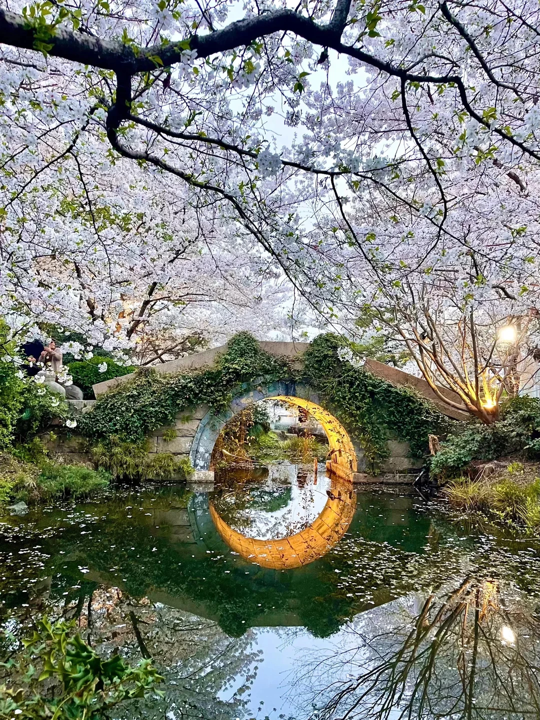 13张爆款Live图 ｜ 高清未使用