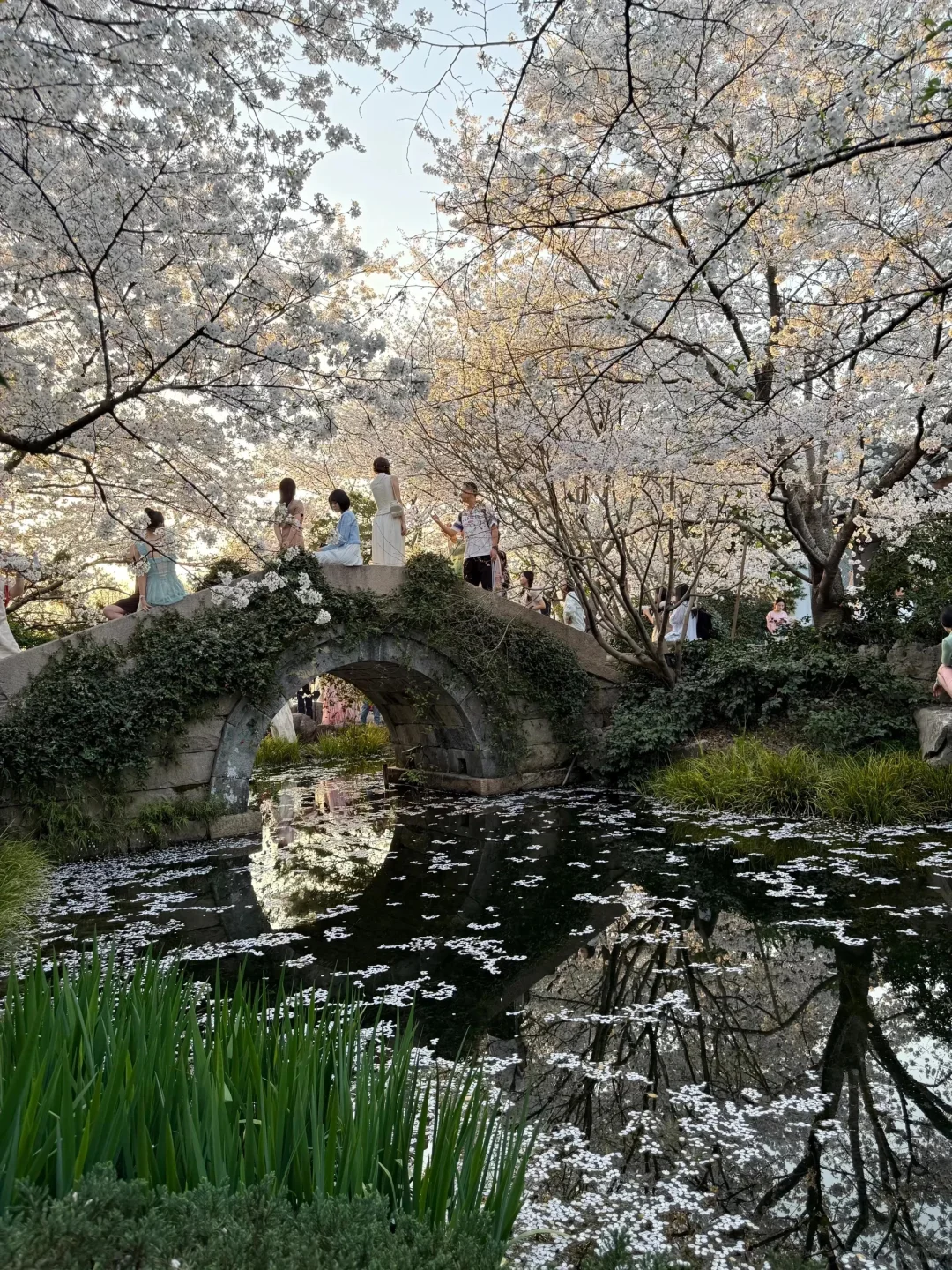 13张爆款Live图 ｜ 高清未使用