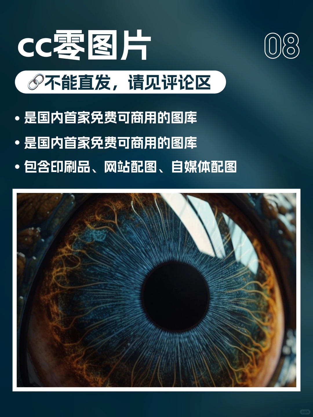 9个高质量无版权图库