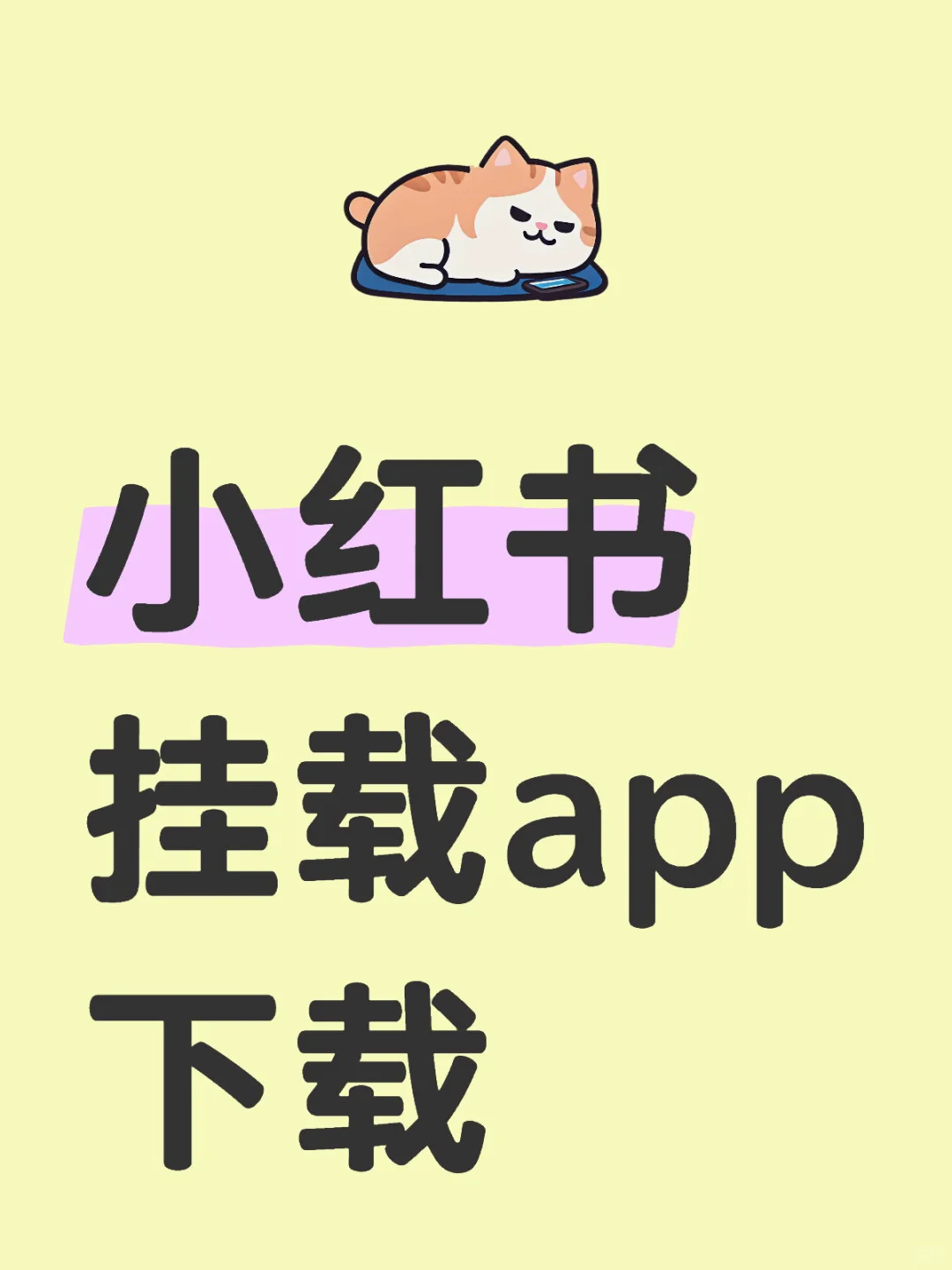 小红书挂app