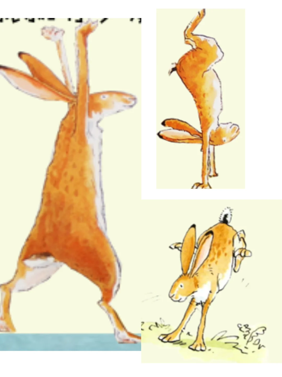 《猜猜我有多爱你》绘本扩展