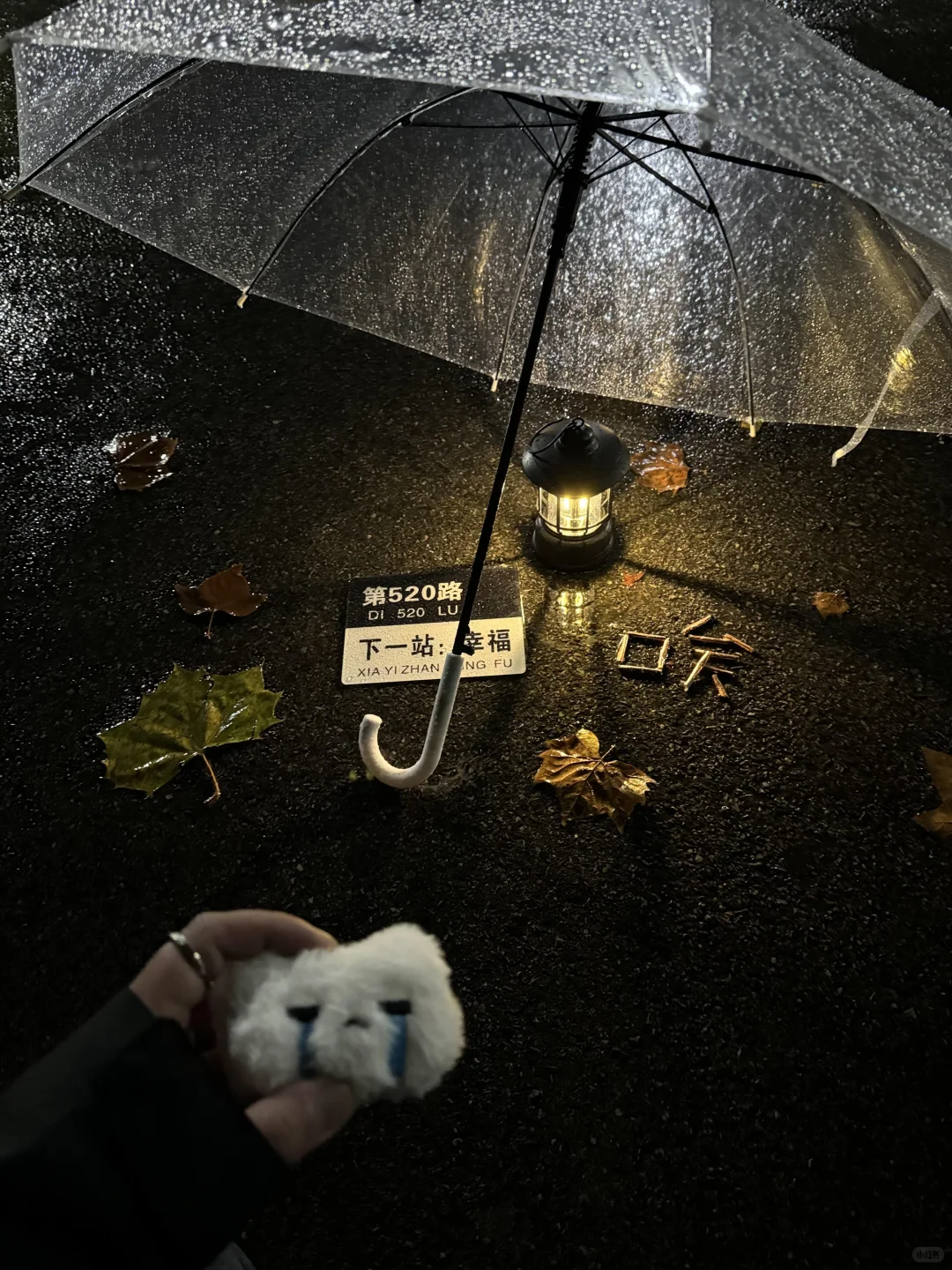 8张爆款live 图 | 高清未使用 喜欢拿