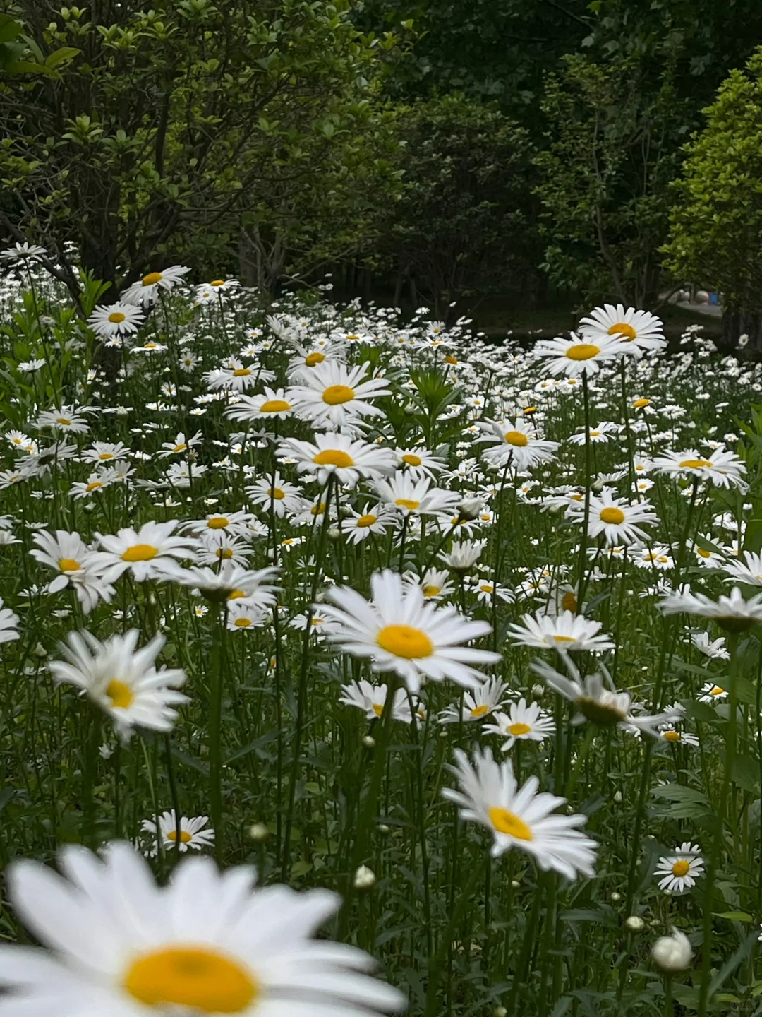18张高清原声live实况素材 喜欢可拿
