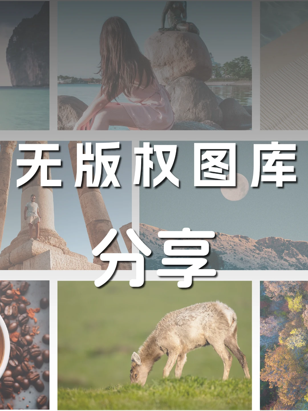 📸 9个无版权图库分享 🖼️
