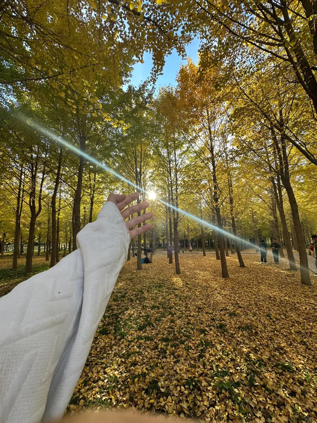 13张爆款Live图 ｜ 高清未使用