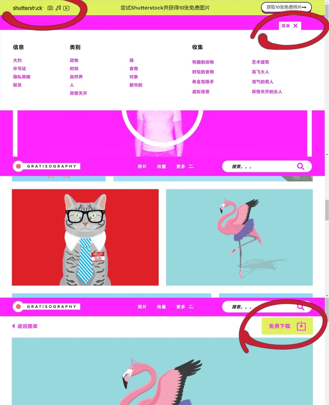 10个找图必备网站