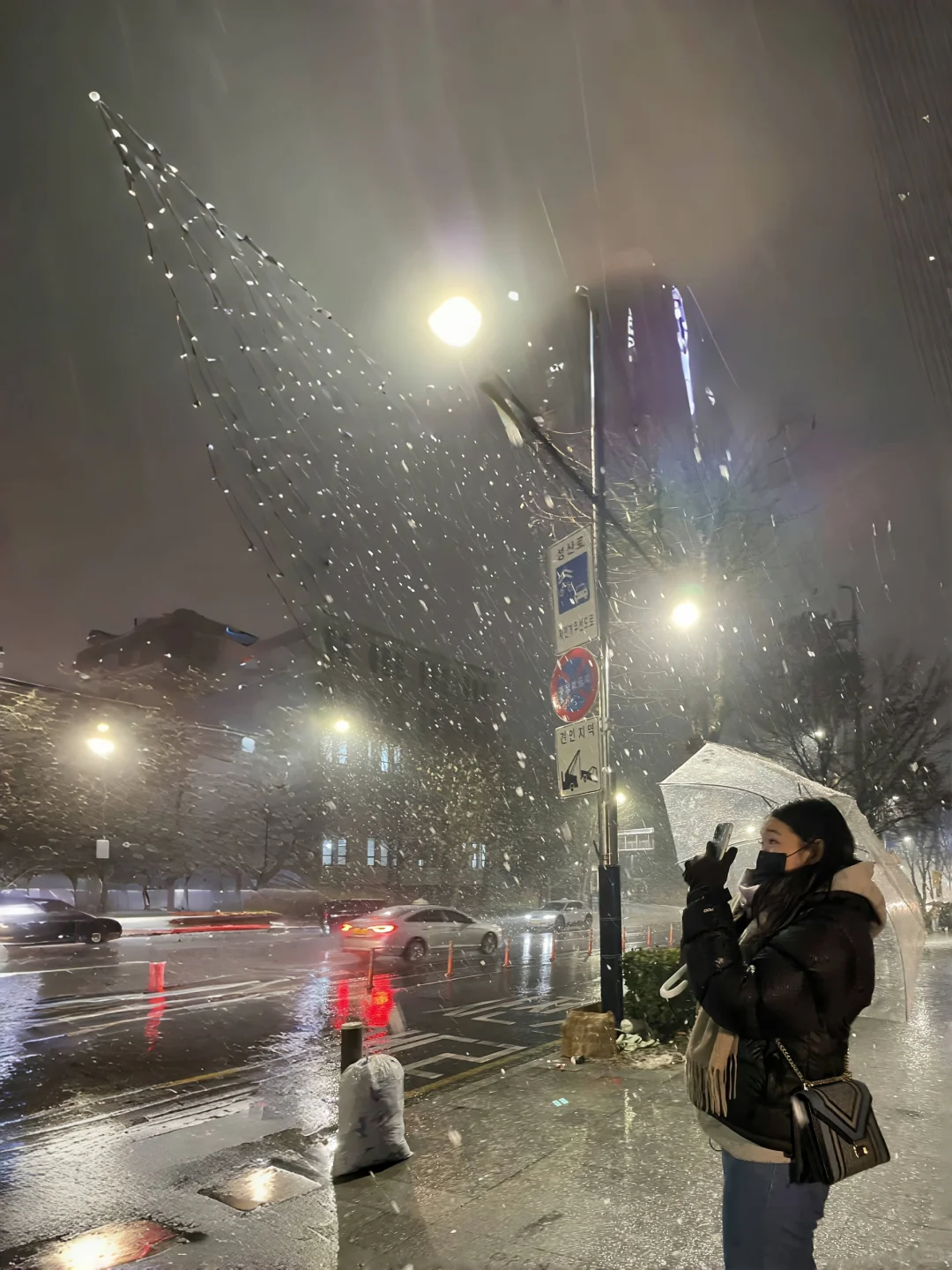 高质量图片素材10张/高清未使用