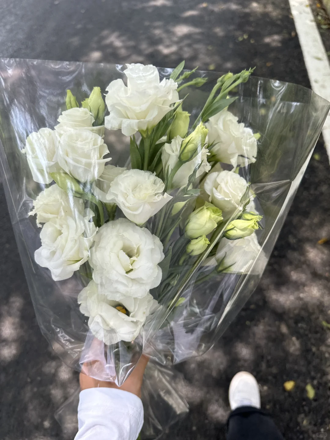 18张高清原声live实况素材 喜欢可拿