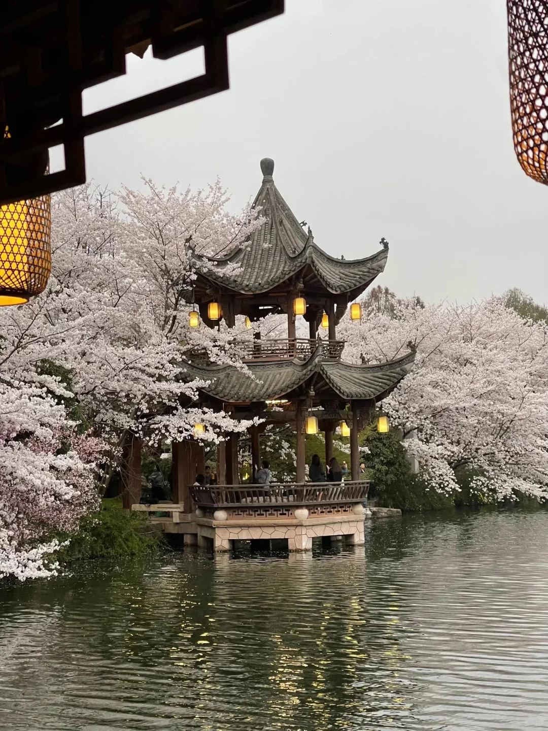 13张爆款Live图 ｜ 高清未使用