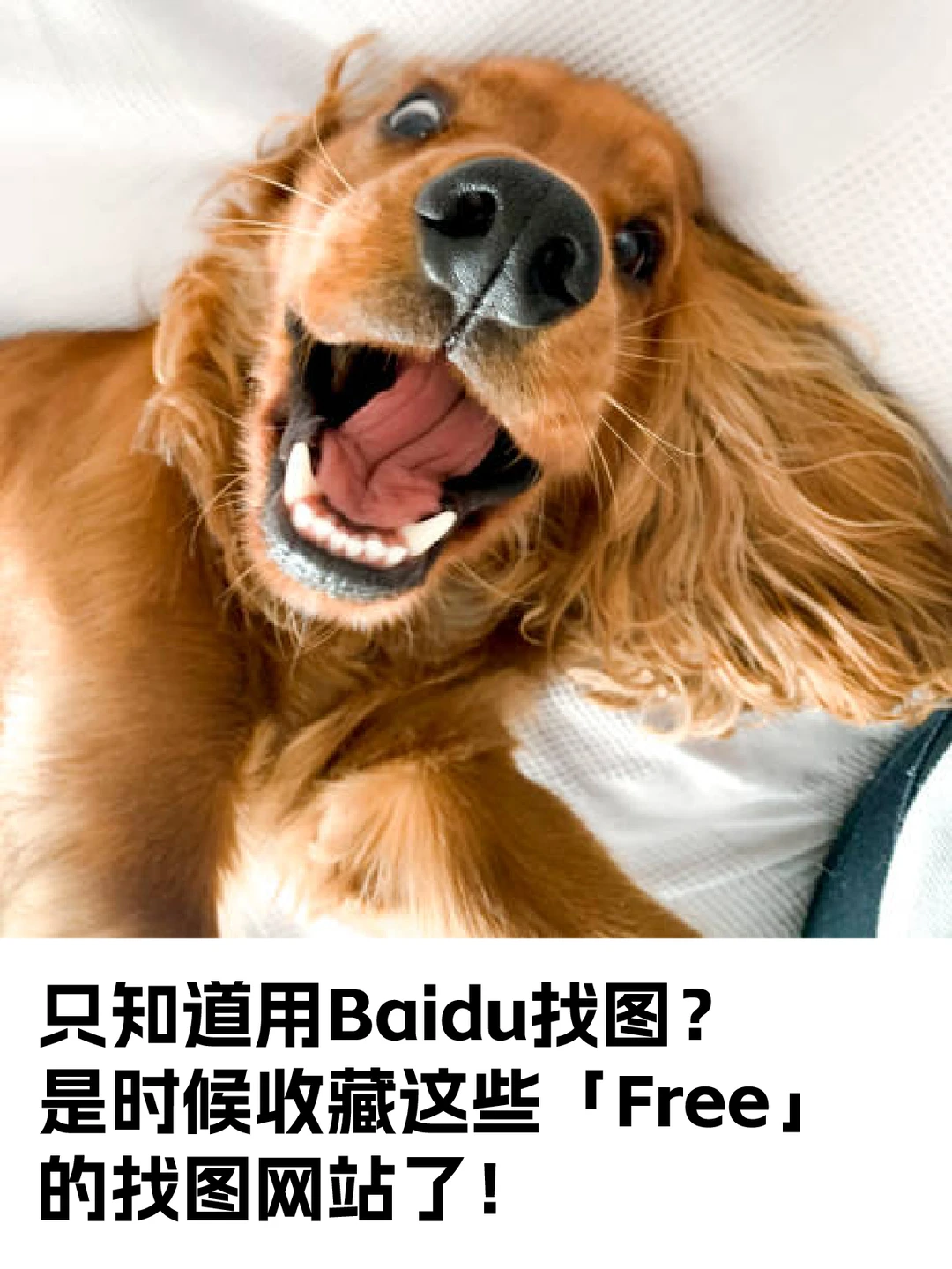 只知道用Baidu找图？免费的找图网站分享！