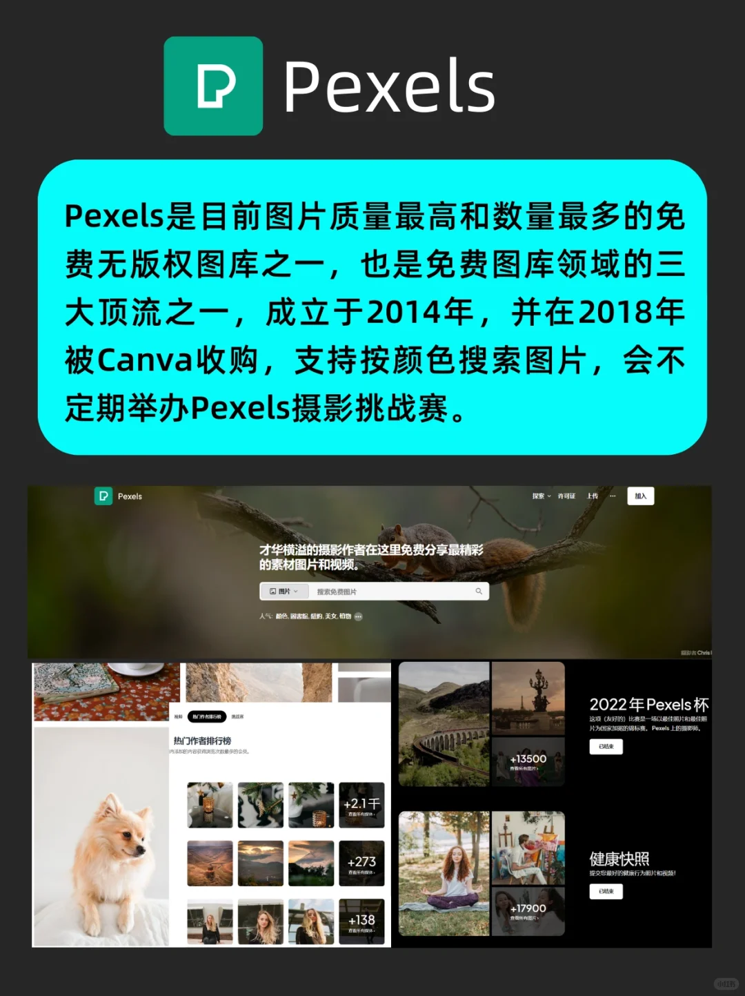 🤩8个免费无版权、可商用的图片网站❗️