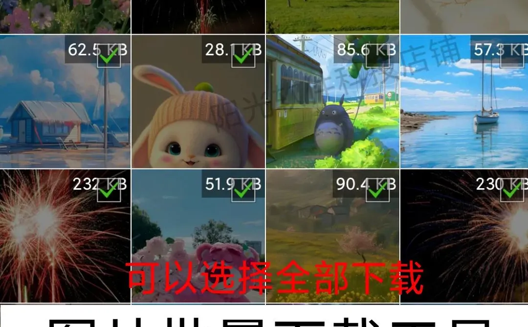 2025网页图片批量下载神器，一键搞定所有图！