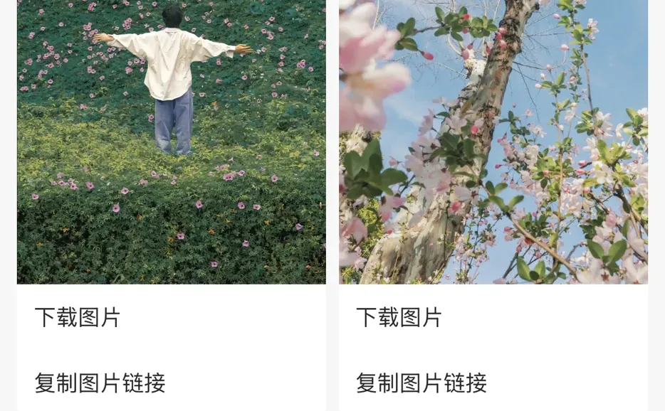 抖音保存图片无水印原图到相册方法