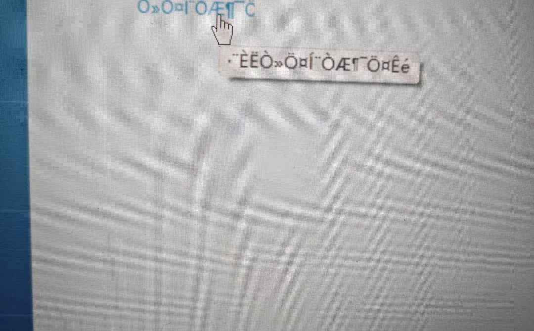 真没招了！下载下来的软件一半是火星文！？