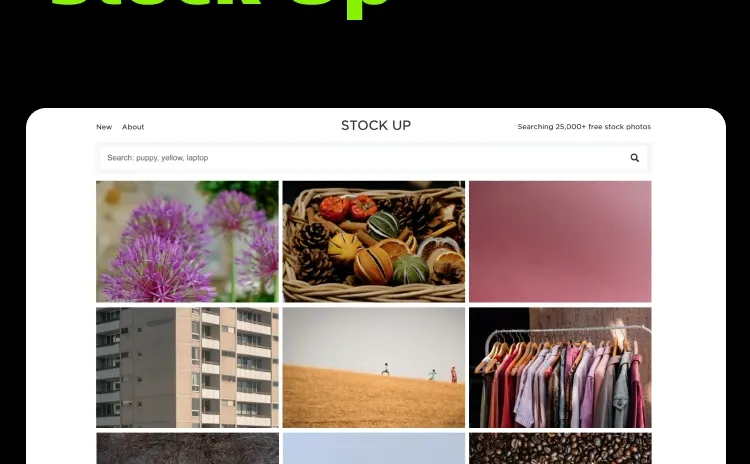 10个免费无版权的图片素材网站，可商用！