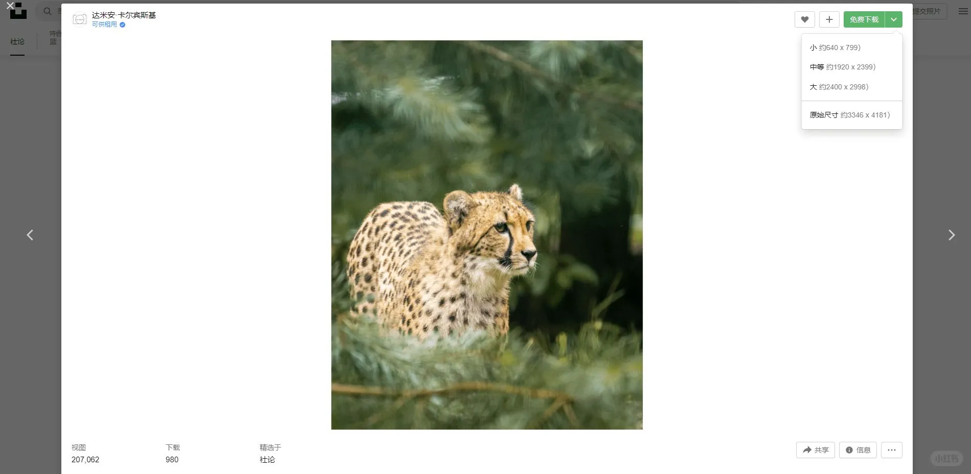 7个比较全的图片素材网站，高清图片下载！