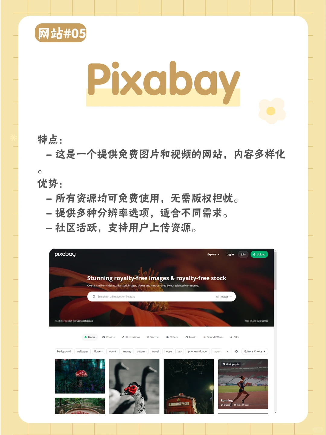 老司机必备的二次元壁纸网站，免费高清！