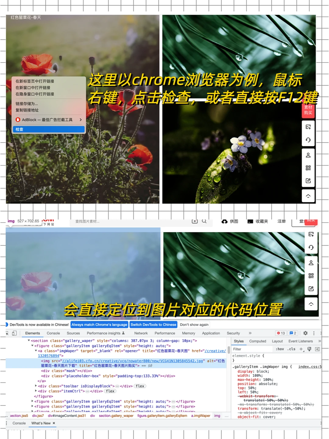 没有套路，大厂程序员教你白嫖网页图片！