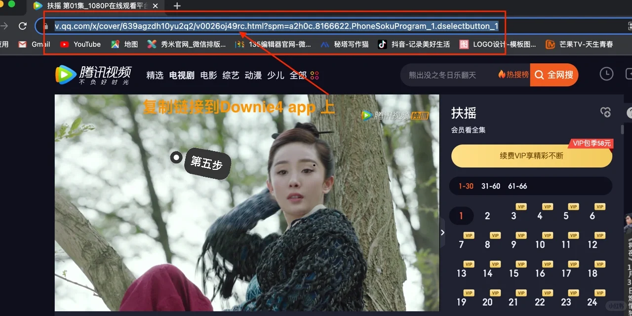 Mac系统视频/影视剪辑资源下载保姆级教程操
