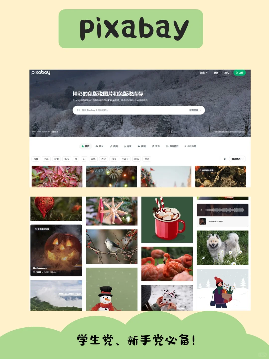 5个实用的PPT图片网站❗️学生党新手党必看❗️