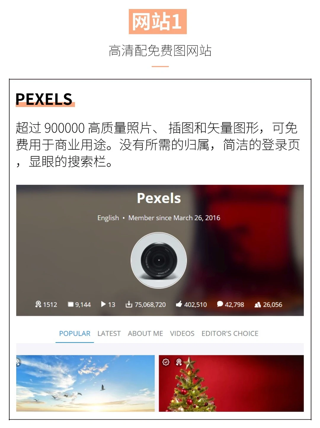 9个免费商用配图素材网站🧾不允许你不知道