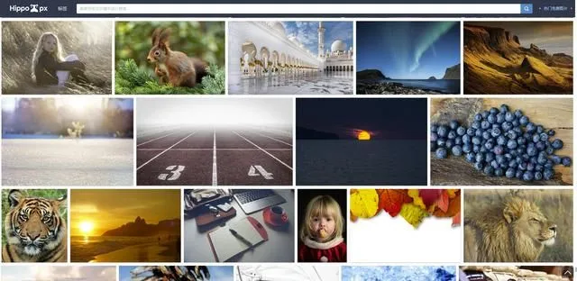 10个免费无版权图片素材网站哪里下载