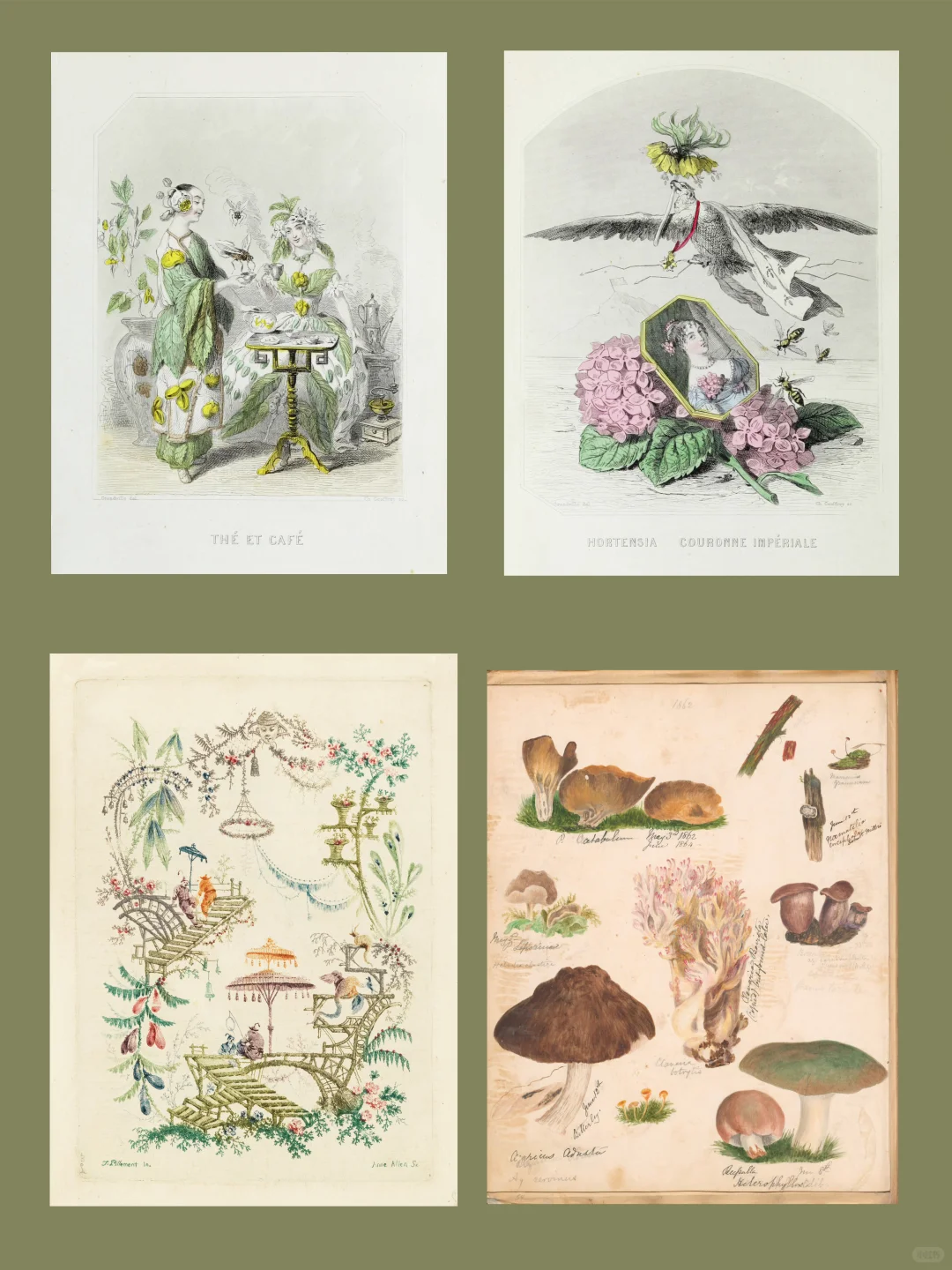 超过1万张，珍贵图片库免费开放下载