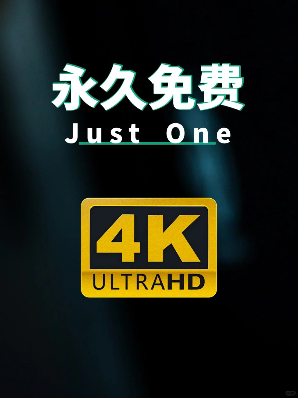 一个神器搞定全网资源下载，真的无敌了！