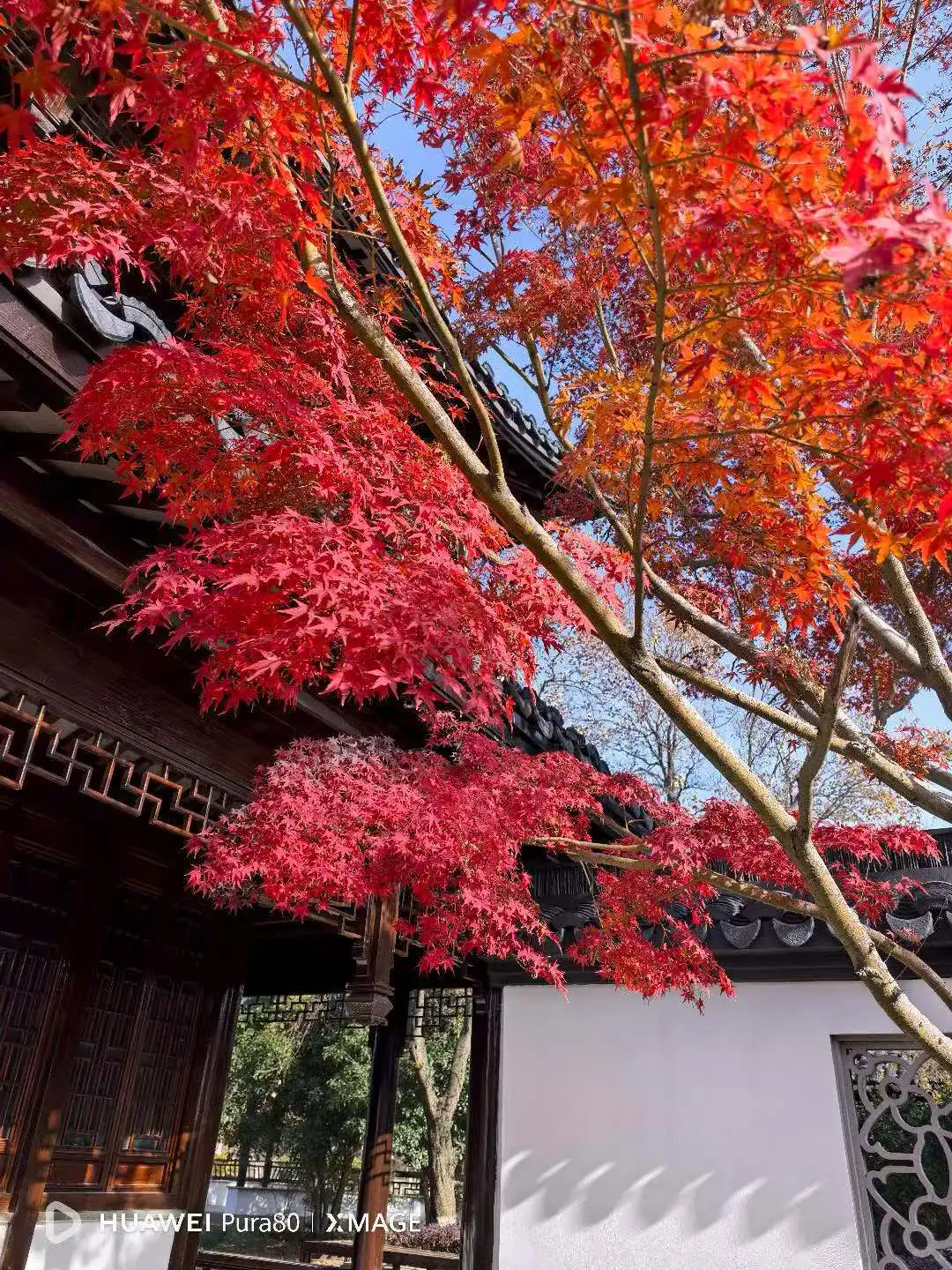 软件安装奇遇：一场步步为营的“折扣”游戏