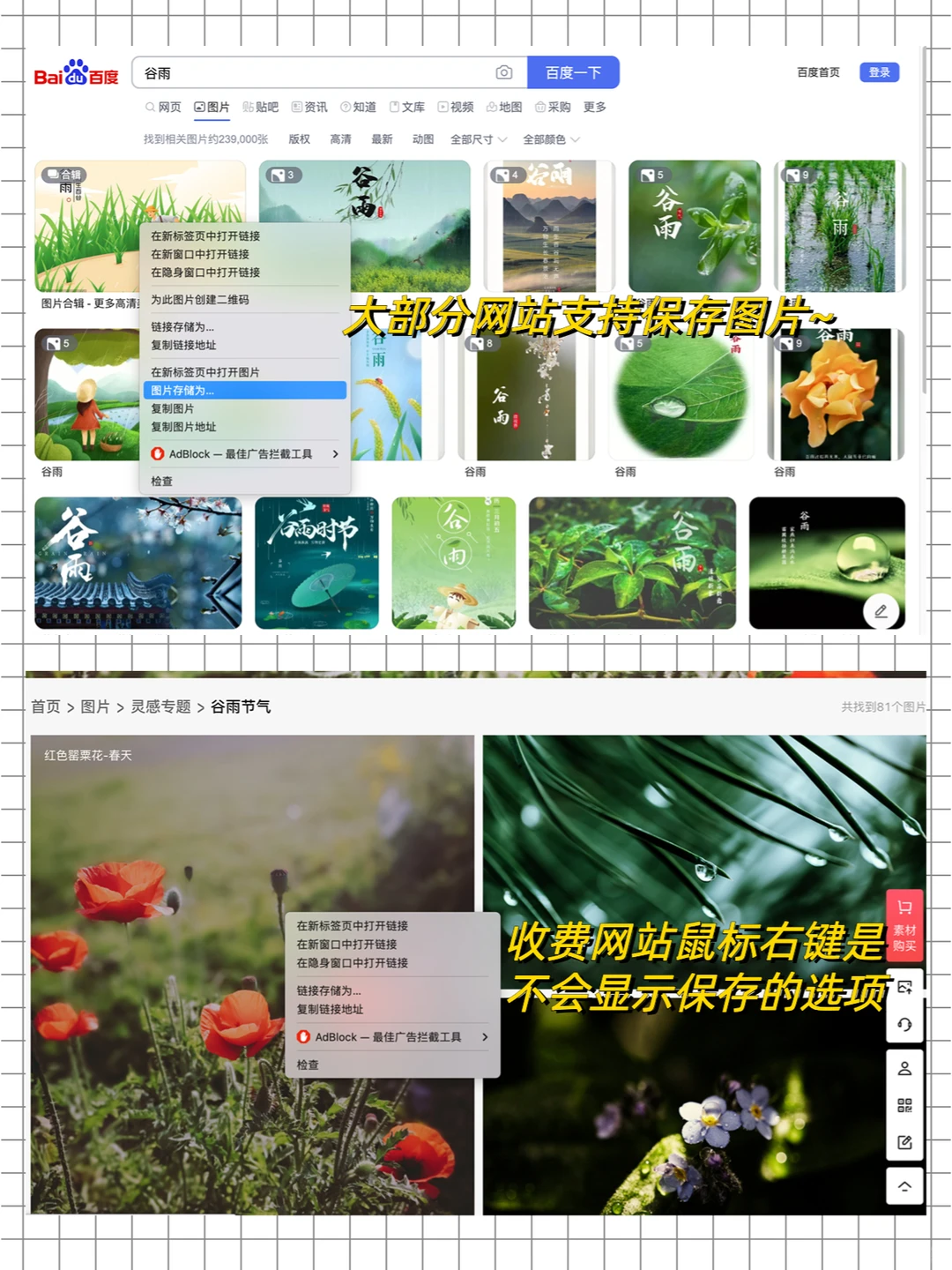 没有套路，大厂程序员教你白嫖网页图片！