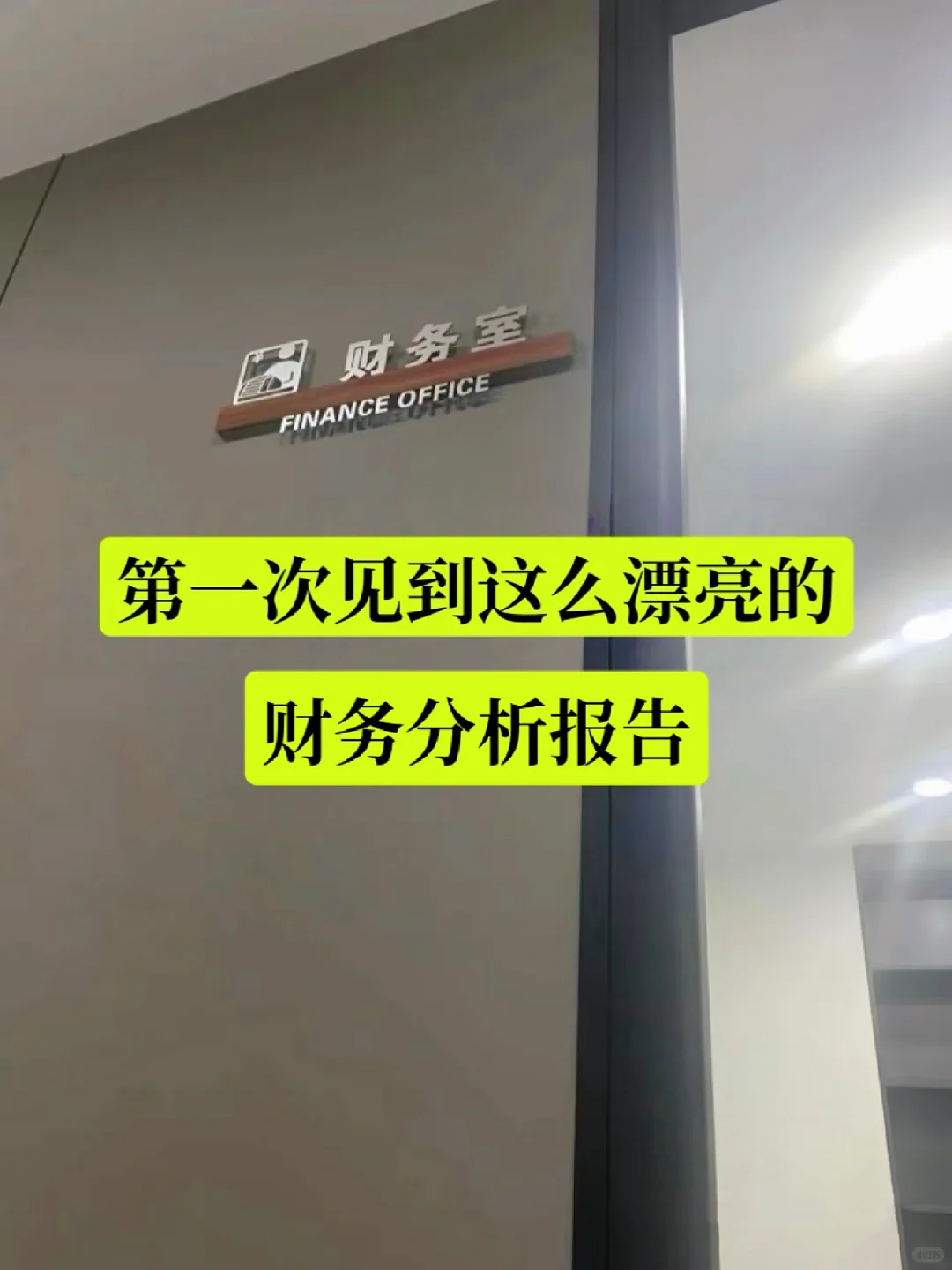 第一次见到这么漂亮的财务数据分析报告！
