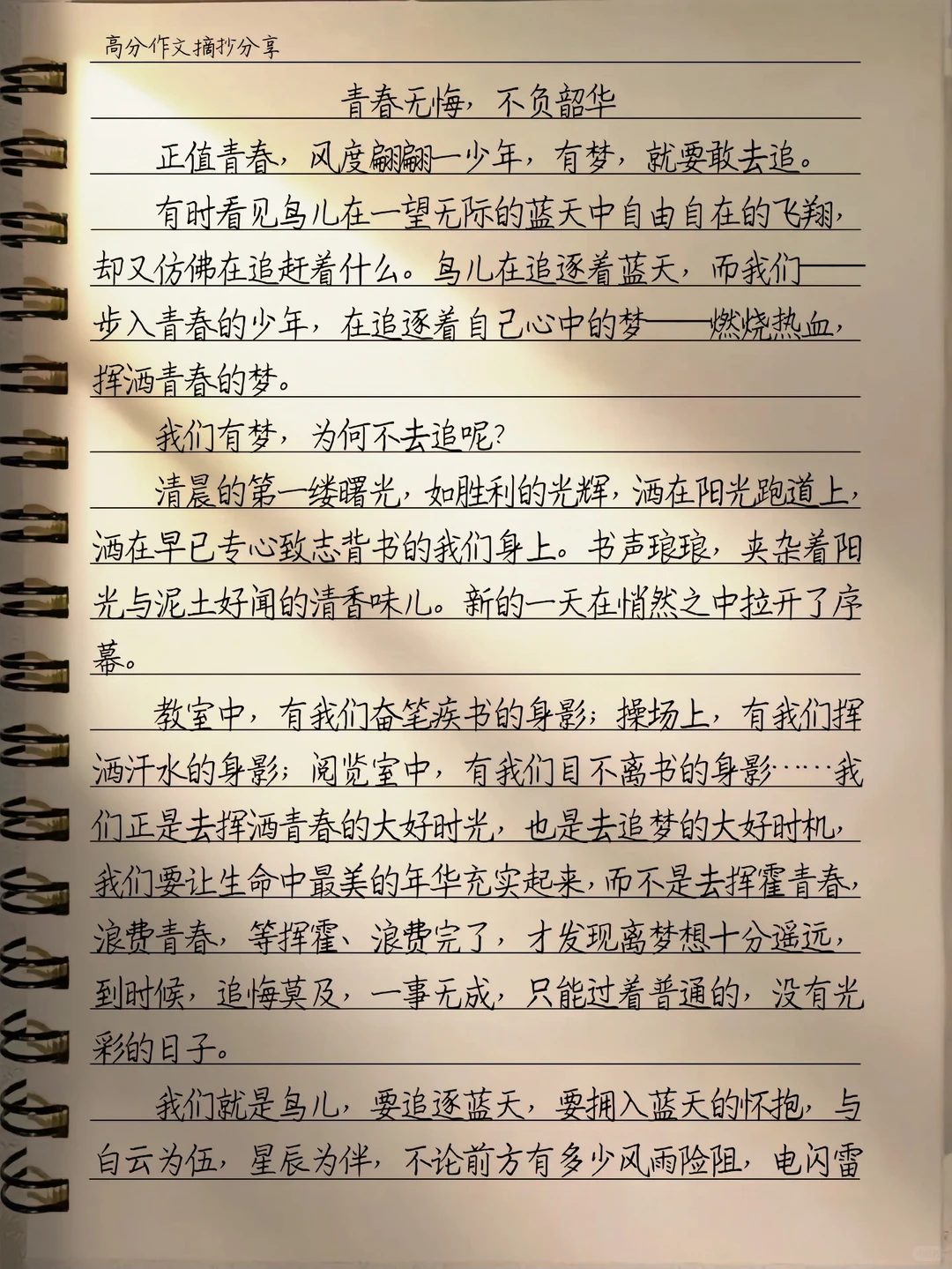 作文：《青春无悔，不负韶华》
