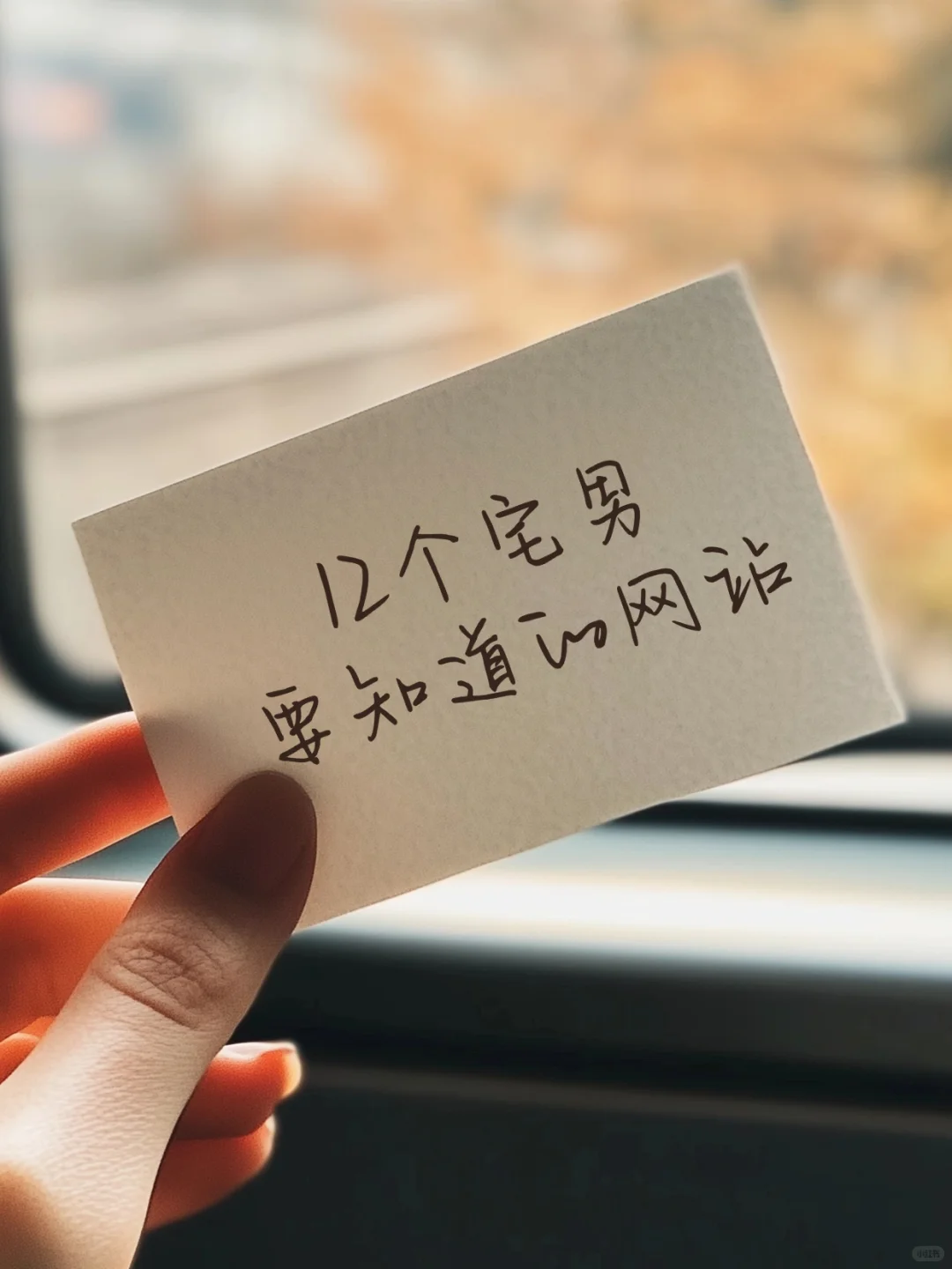 要知道的网站！宅男必备！