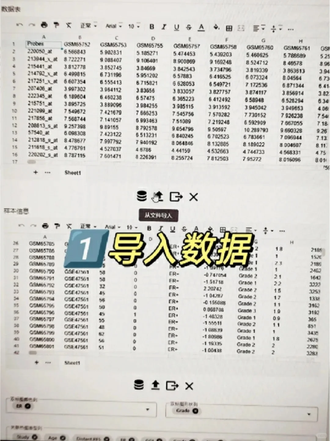 这个网站我愿称之为最伟大发现😎