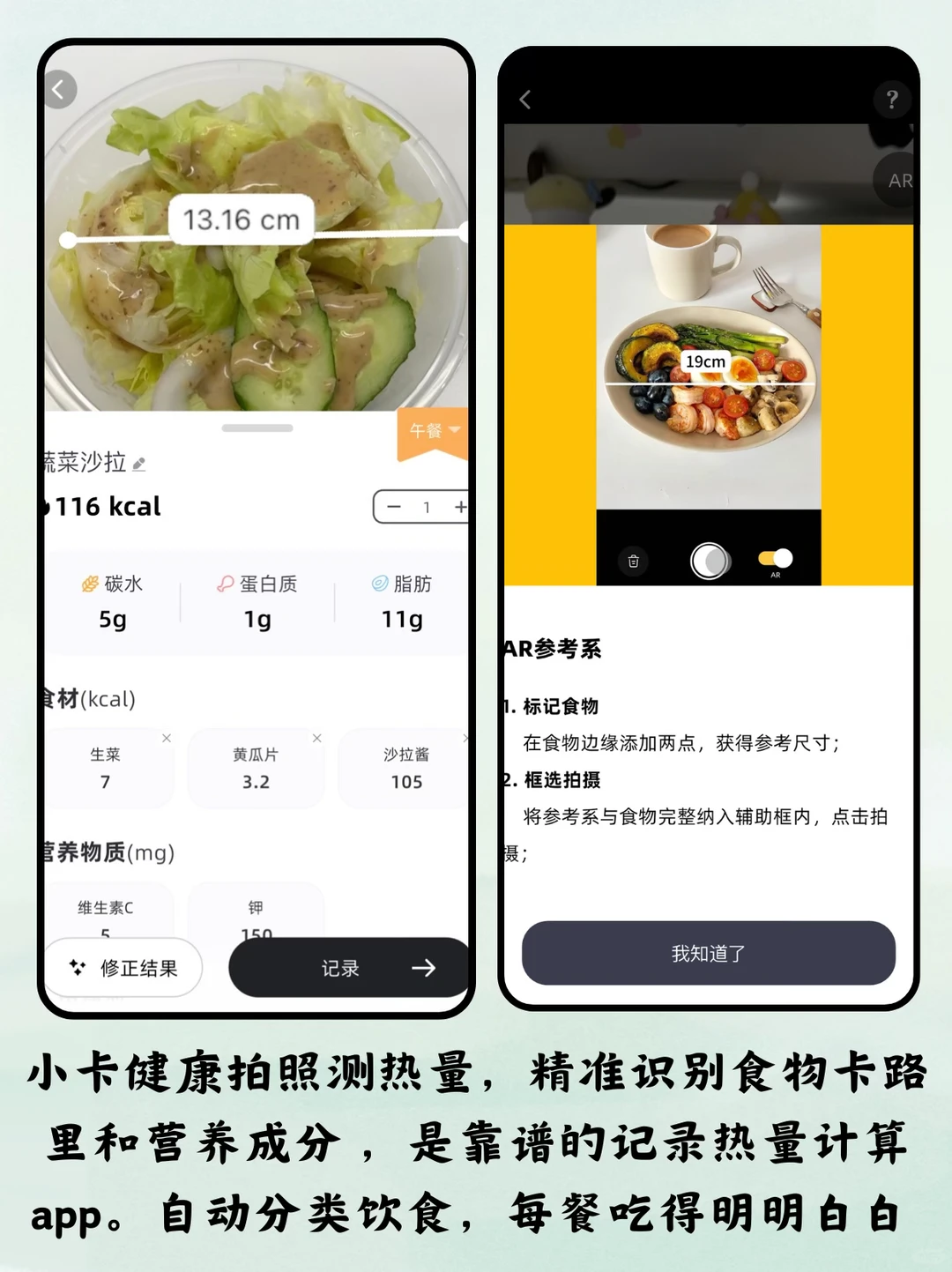 不纯饿，不运动，靠这个工具瘦了