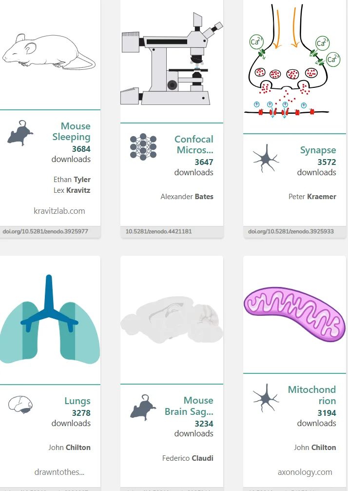 这个网站我愿称之为最伟大的发现😭😭