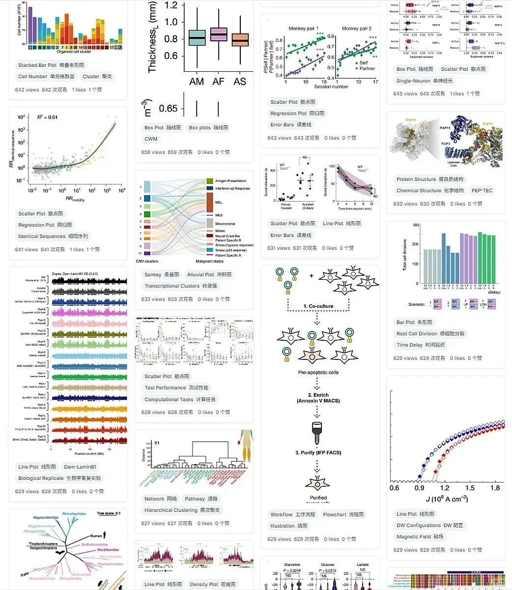 我愿称这网站为最伟大的发现
