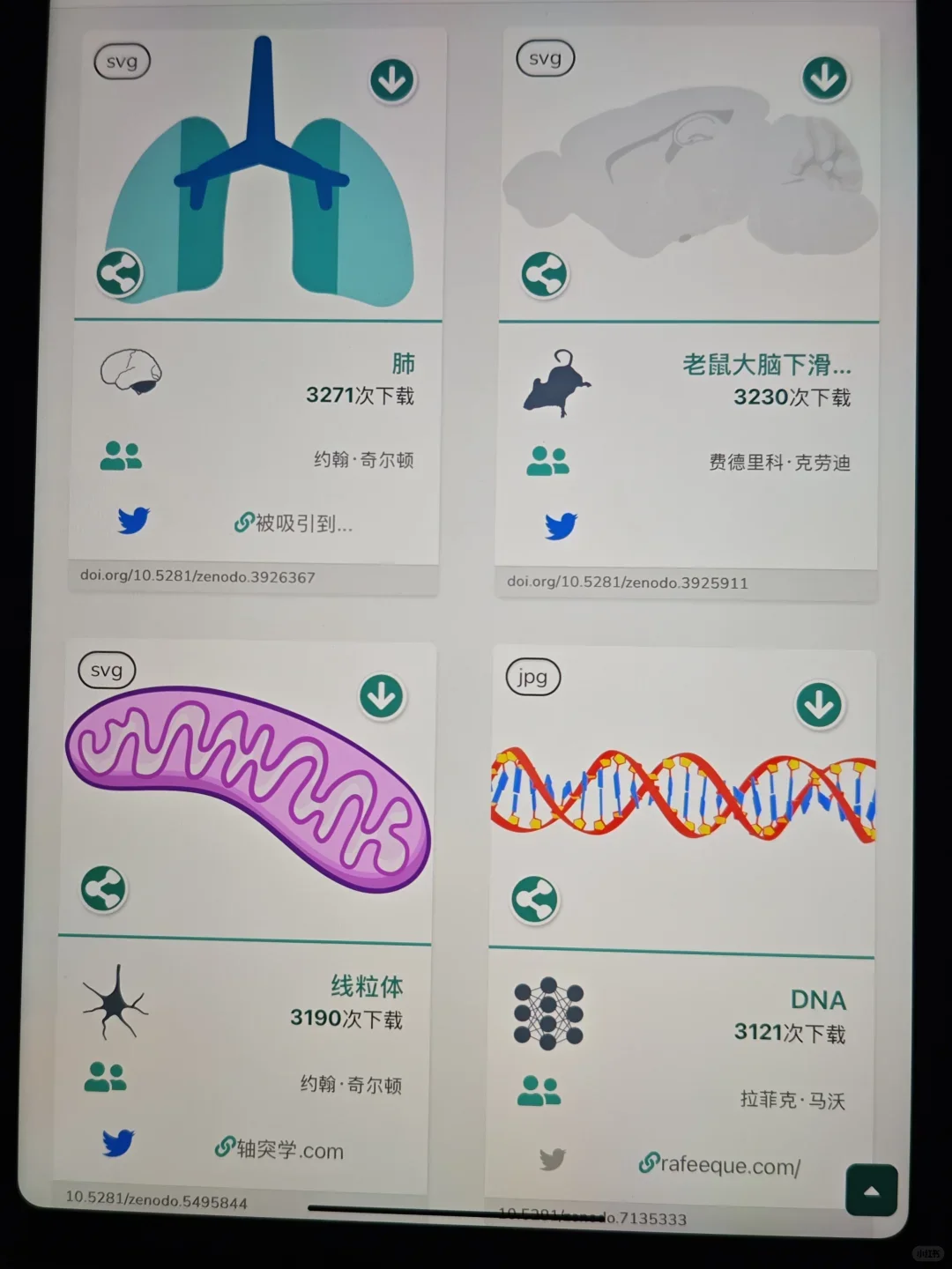 我愿称这个网站为年度最伟大的发现❗