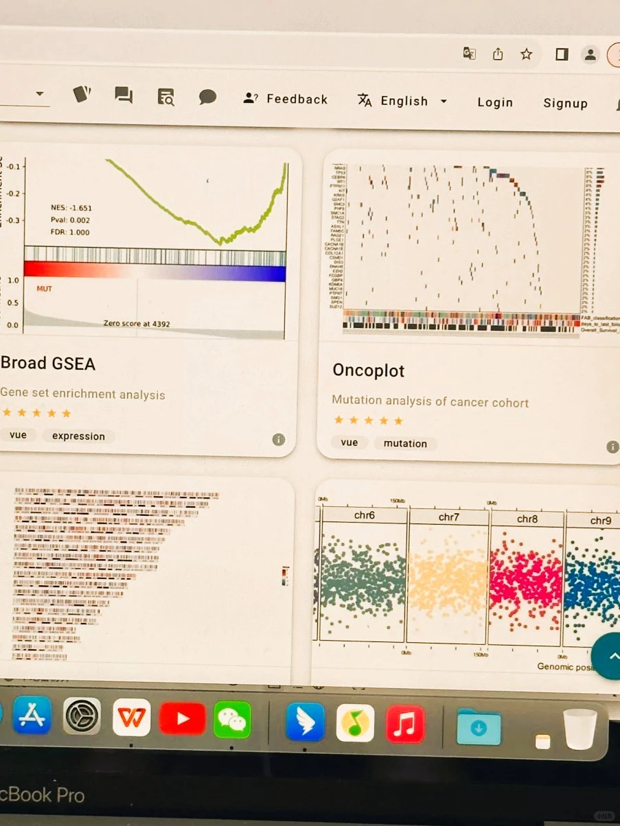 这个网站我愿称之为年度最伟大发现