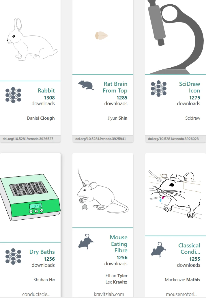 这个网站我愿称之为最伟大的发现😭😭