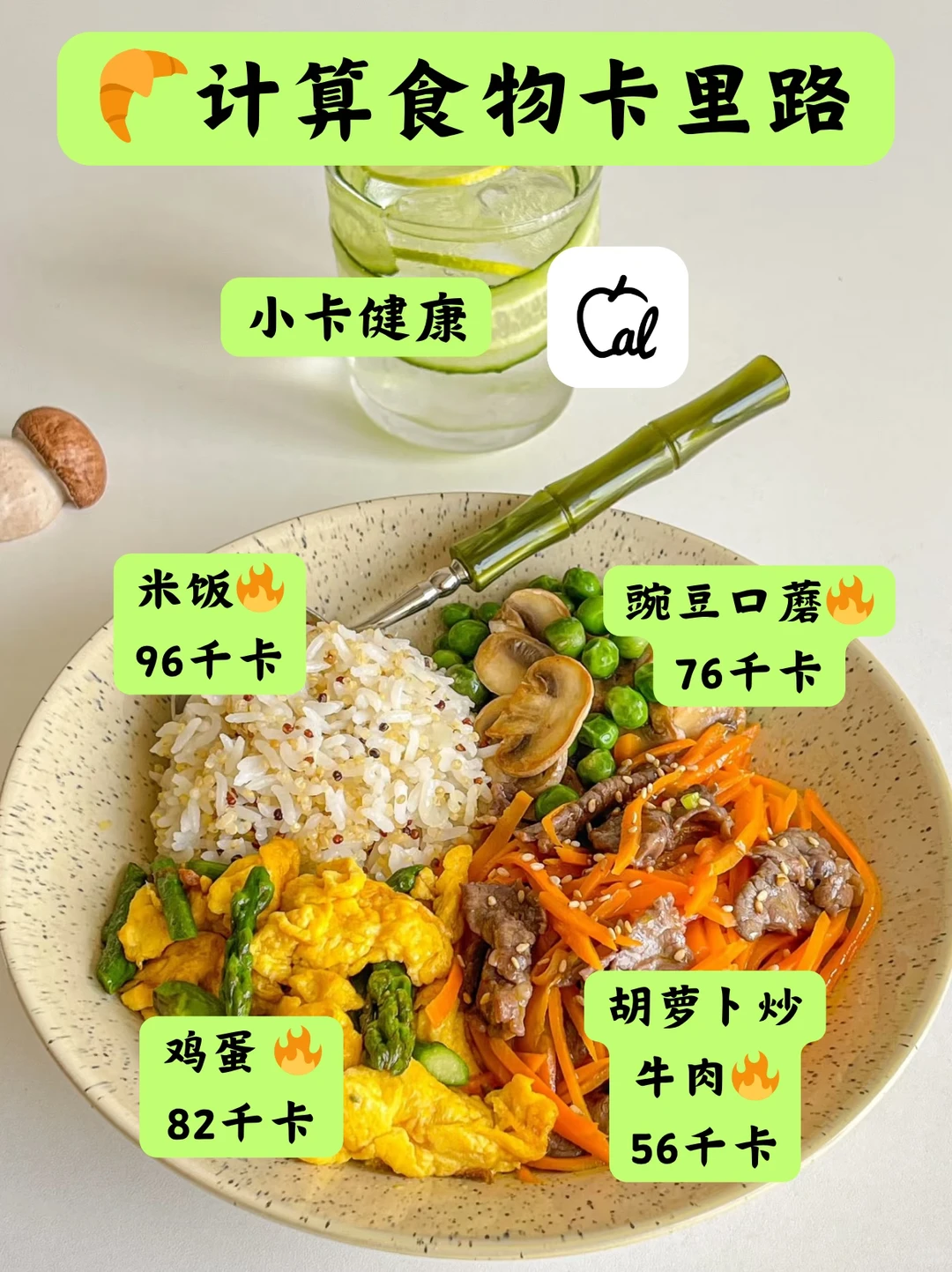 不纯饿，不运动，靠这个工具瘦了