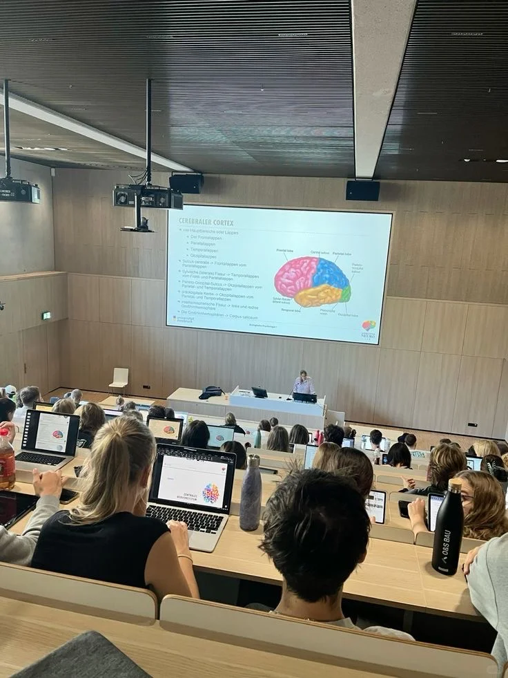 香港留学，被用烂了的超好用学习工具