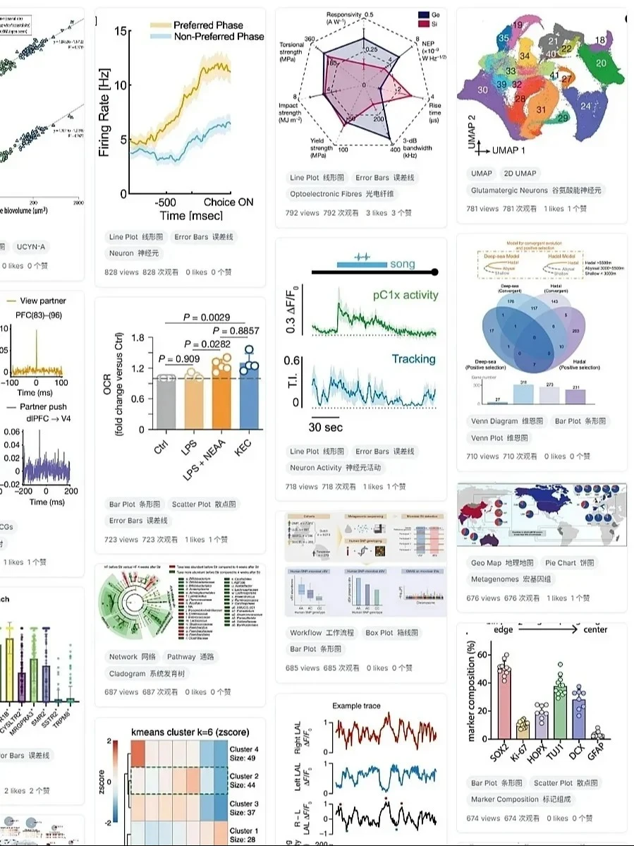 我愿称这网站为最伟大的发现