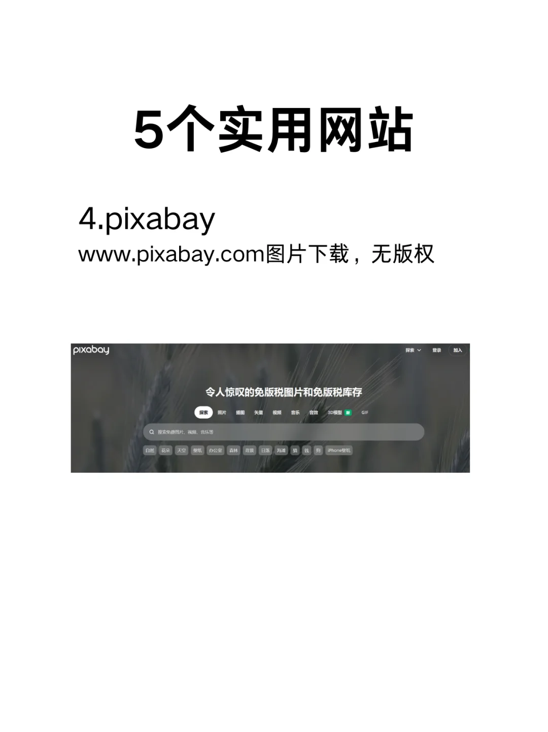 5个实用网站，每一个都有用