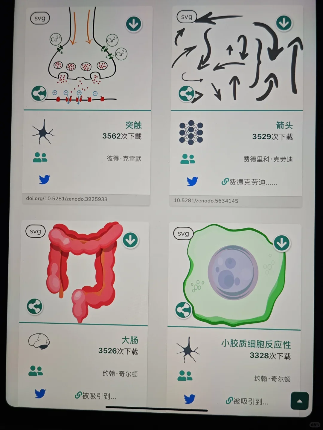 我愿称这个网站为年度最伟大的发现❗