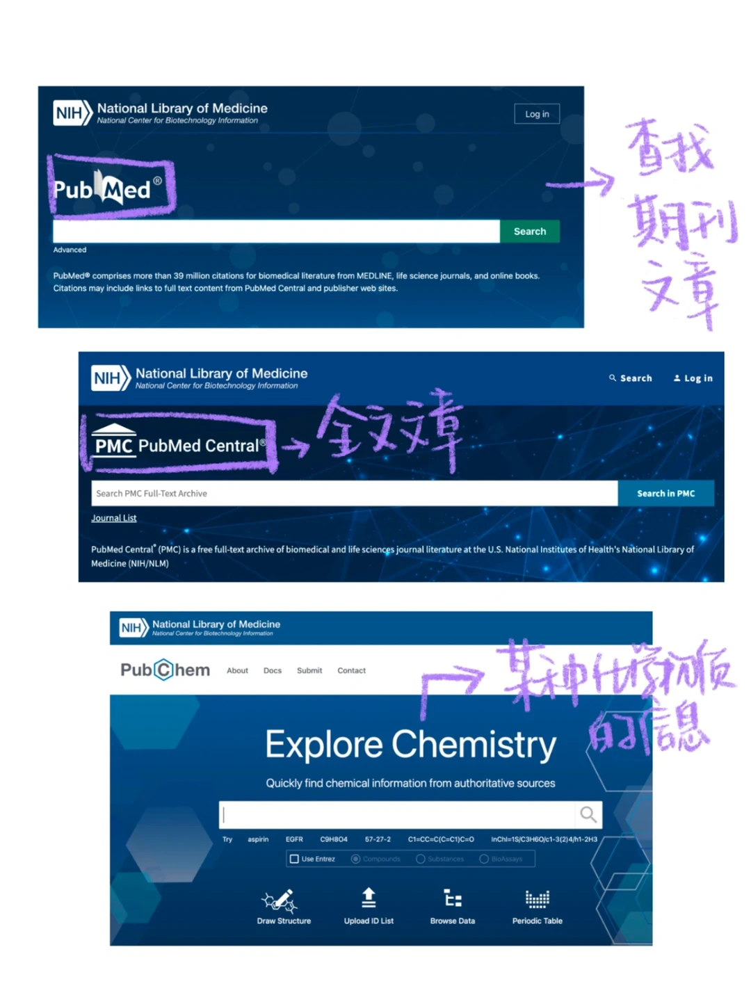 总有一天会用到的公共数据库们