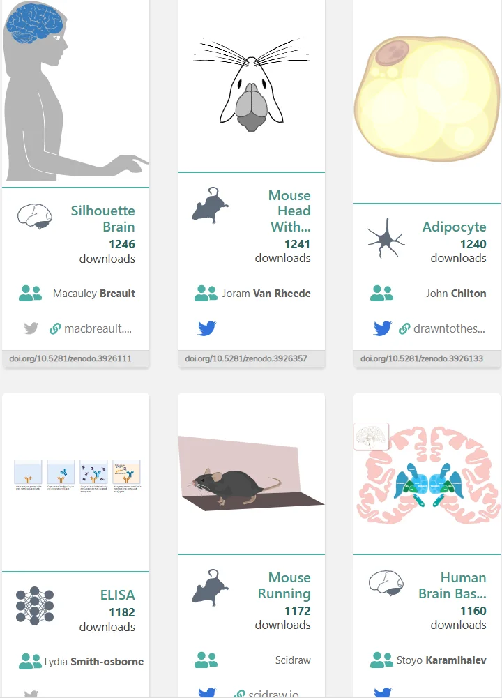 这个网站我愿称之为最伟大的发现😭😭